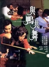 与鸭共舞
